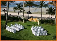 catseye beach wedding