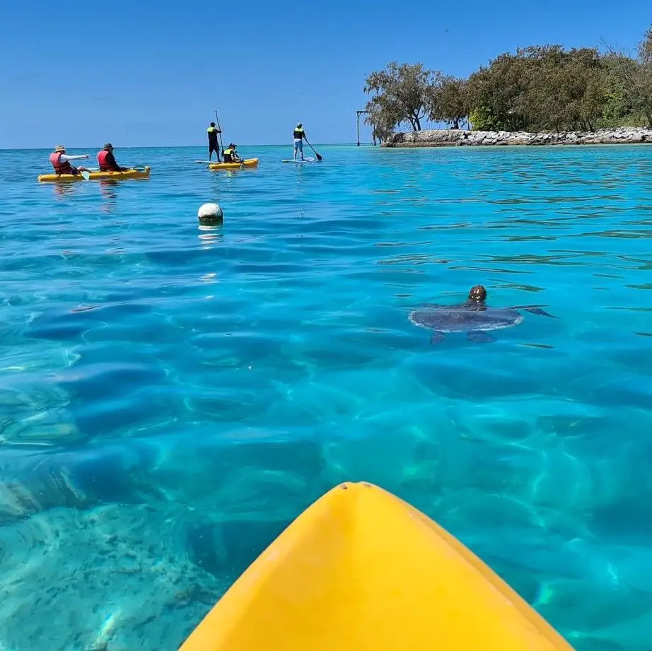 Heron Island Resort Marine Centre | QLD Travel