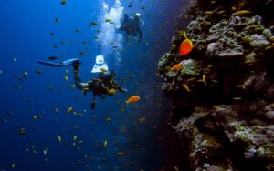 6 Things To Prepare Before A Scuba Diving Trip