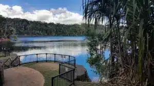 Lake Eacham Volcanic Lake In Queensland