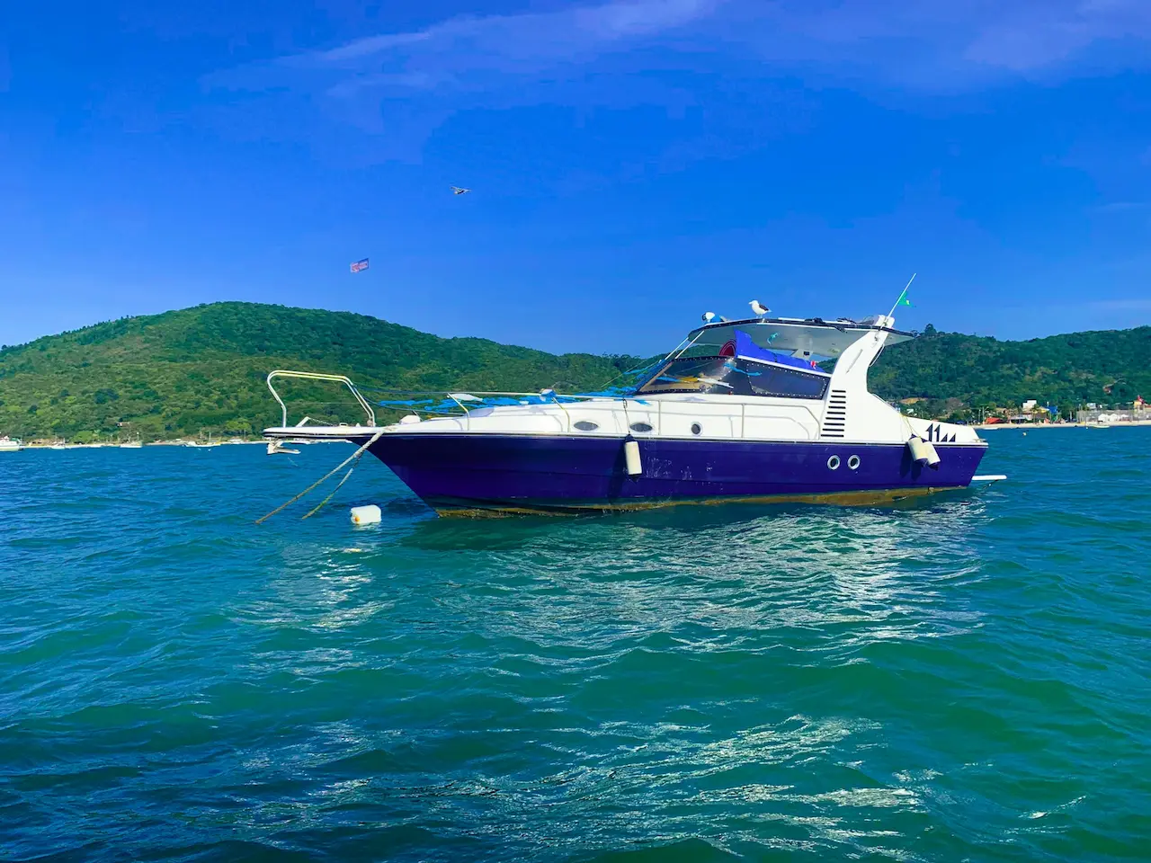 Explore Dunk Island Full Day Tour | Mission Beach Day Return